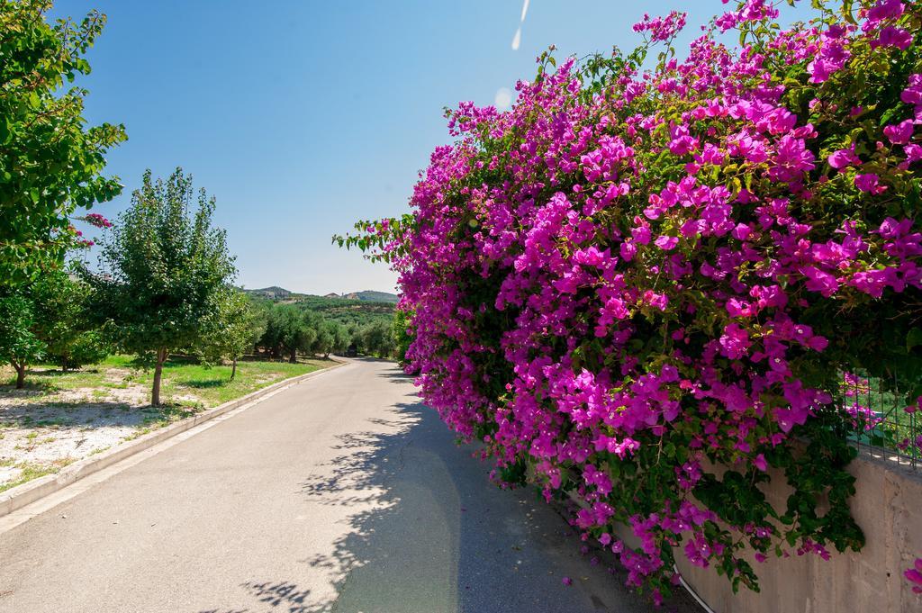 Villa Prigipessa Agia Marina Eksteriør bilde